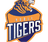 Hubli Tigers Flag
