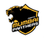North Mumbai Panthers Flag
