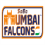 SBMF Logo