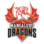 Mangaluru Dragons Women Flag