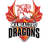 Mangaluru Dragons Flag