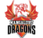 Mangaluru Dragons-logo