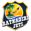 Ratnagiri Jets Flag