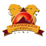 Team logo