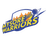 Mysore Warriors Flag
