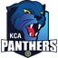 KCA Panthers Flag