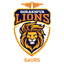 Team Logo