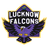 Lucknow Falcons Flag