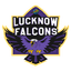 Lucknow Falcons Flag