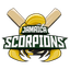 Jamaica Scorpions Flag